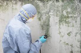 Best Mold Removal for HVAC Installations  in Laurens, SC